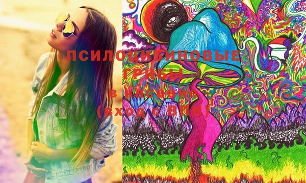 герыч Вяземский