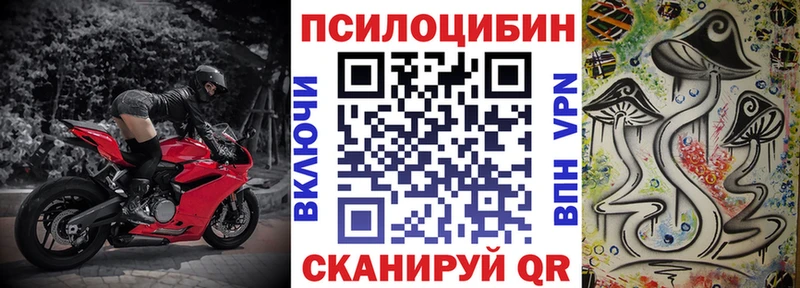 Псилоцибиновые грибы GOLDEN TEACHER  Купить закладки  Королёв 